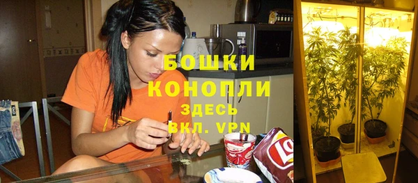 Альфа ПВП Волоколамск